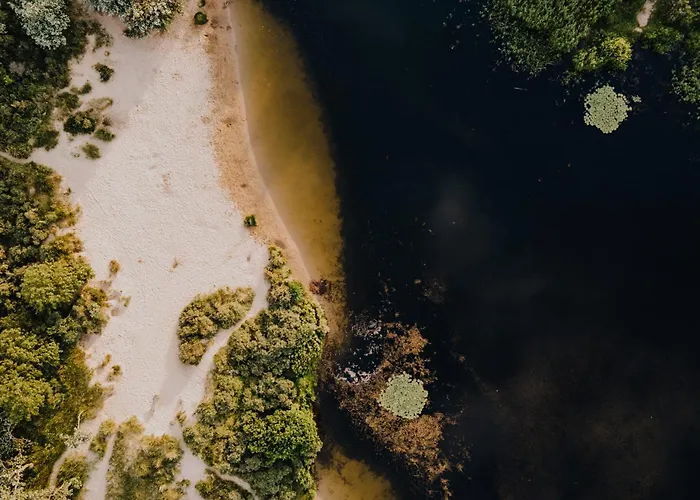 De Schelp 85 * זנדוורט