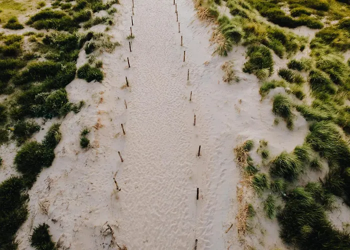 De Schelp 85 דירה